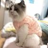 Dog Comfortable Fleece Pullover Pet Clothes Cute Wavy Double-sided Kitten Coats Sweater for Small Medium Dogs Cats Warm Winter Outfit Puppy
