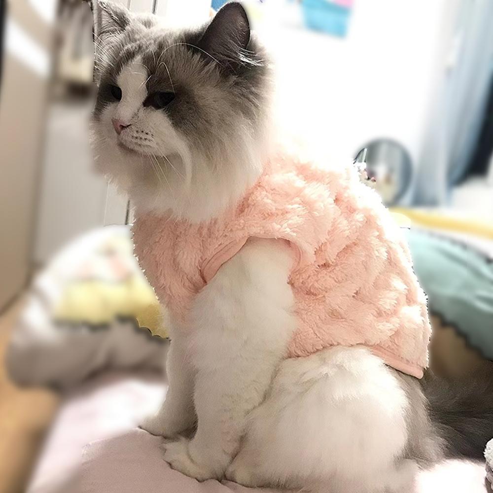 Dog Comfortable Fleece Pullover Pet Clothes Cute Wavy Double-sided Kitten Coats Sweater for Small Medium Dogs Cats Warm Winter Outfit Puppy