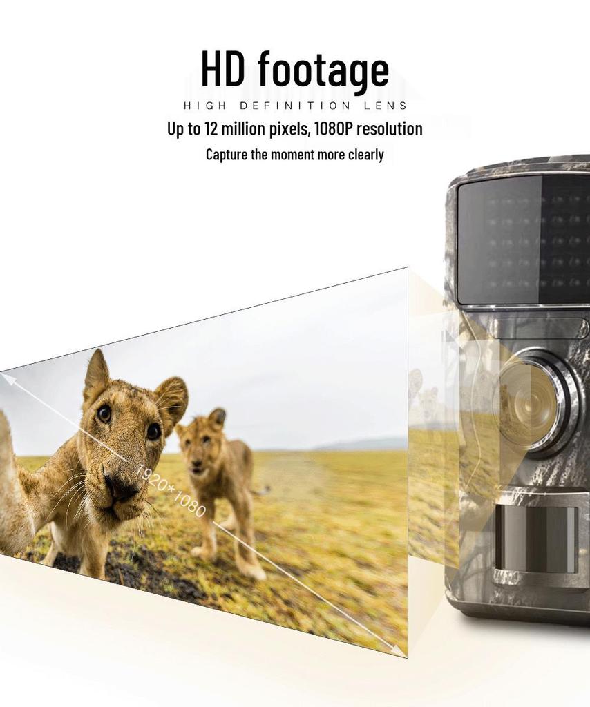 DL001 Инфракрасная 2-дюймовая камера ночного видения HD для охоты на открытом воздухе