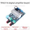 100W Mono Digital Subwoofer Amplifier Board, DC12-24V, High Power TPA3116 Module