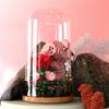 DIY Micro Rose Bear Building Blocks Toy Glass Dome Flowers with Light Romantic Rotatable Construction Bricks Decoration For Girl