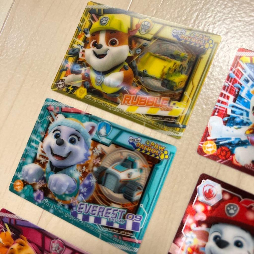 Used Paw Patrol 5 3D Cards Sky Seal Zuma Card