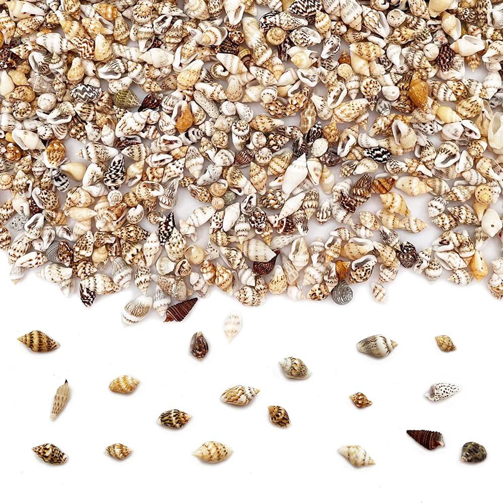 1500 шт. спиральных ракушек, морские ракушки, 1500 шт. подвесок-шармов из смешанных ракушек, пляжная тематическая вечеринка