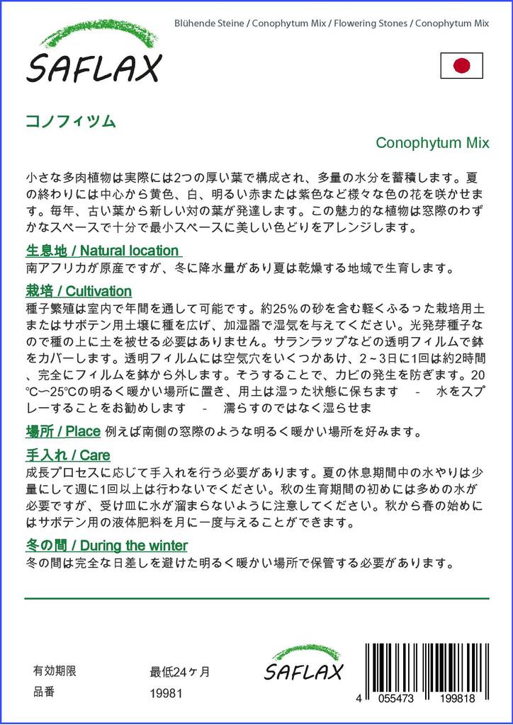 SAFLAX Garden in the Bag - Цветущие камни / Conophytum Mix - 40 семян - С субстратом в подходящем стоячем пакете - Conophytum Mix