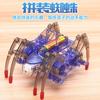 Handmade Animal Models, Children'S Educational Electric Spider Robots Diy Assembly Toys