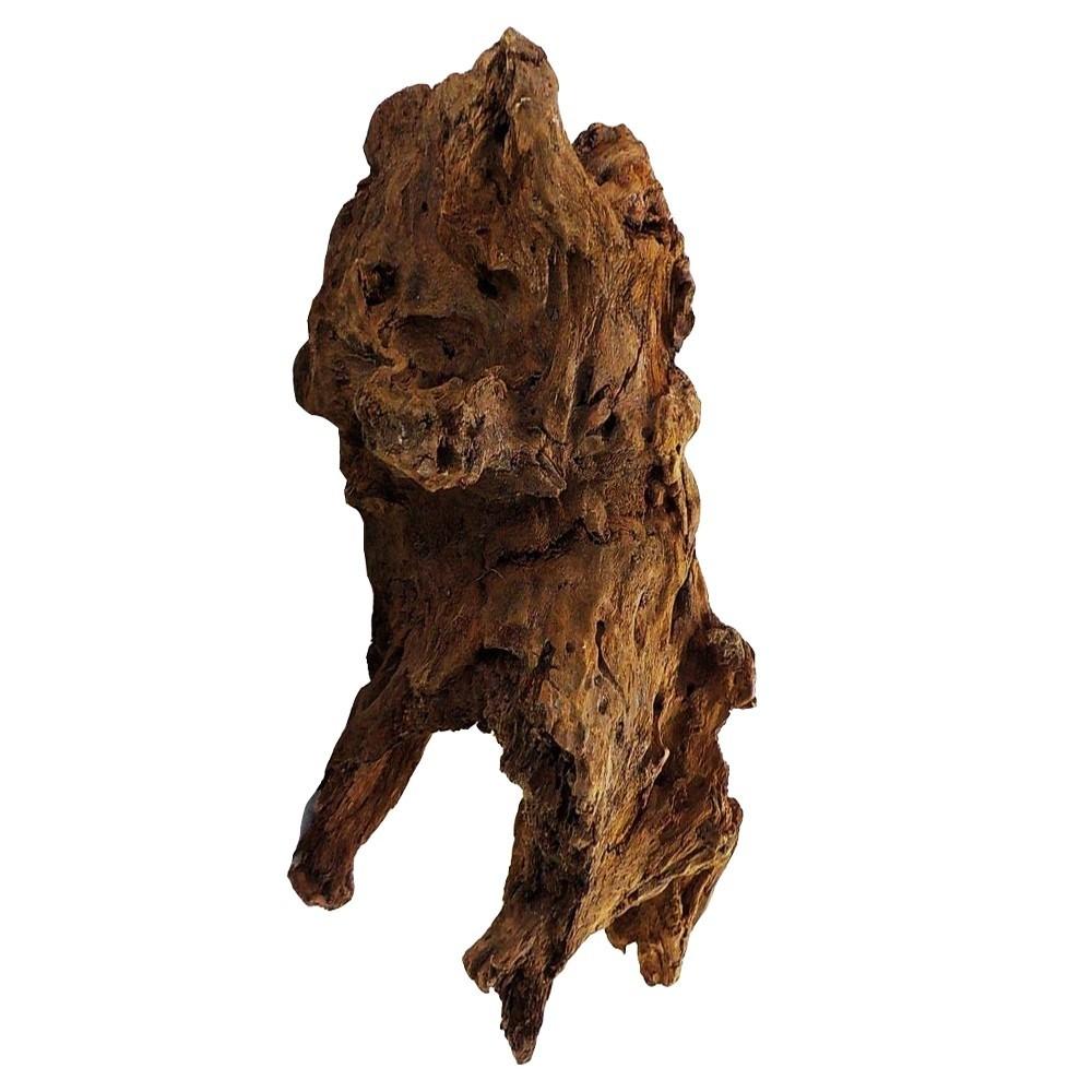 Mangrove Tree For Aquarium Root Decoration 40-50Cm