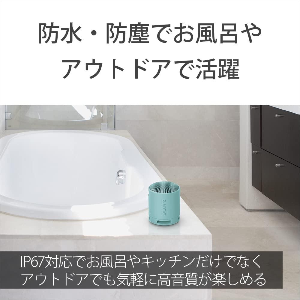 Sony Беспроводной динамик SRS-XB100: Чистое и глубокое воспроизведение басов. Защита от воды и пыли по стандарту IP67. Длительное время работы около 16 часов. Поддержка звонков в режиме громкой связи.