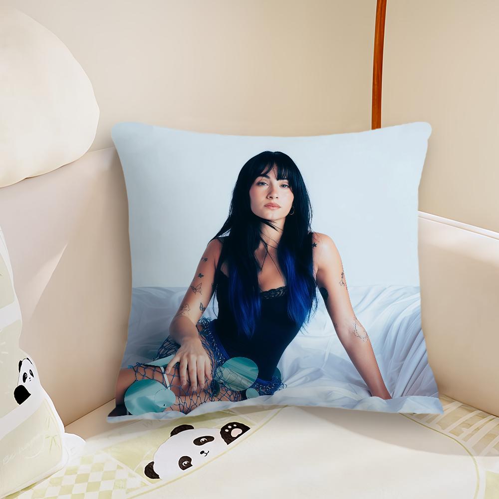 Singer AAitanaCuarto Azul cushion cover Plush Fabric Soft Double Sided Print Sofa Cushion Cover Throw Pillow Covers