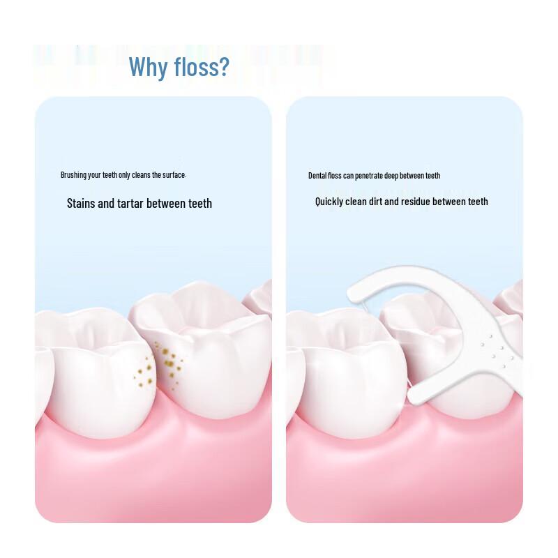 FAWNMUM Dental Floss Picks (2000 Count)