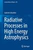 Книга Radiative Processes In High Energy Astrophysics : 873