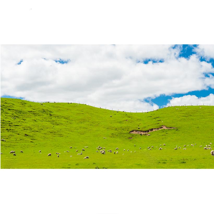 Tonymoly Натуральный питательный тоник из козьего молока 140 мл