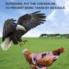 Adjustable Poultry Back Protector Washable Chicken Harness Vest Hen Apron  Poultry Back Protector