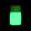20g Cool Party DIY Craft Glow In The Dark Luminous Paint Pigment Acrylic