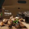 Golden Black Garlic Juice 30p, 2.4L, 1 unit