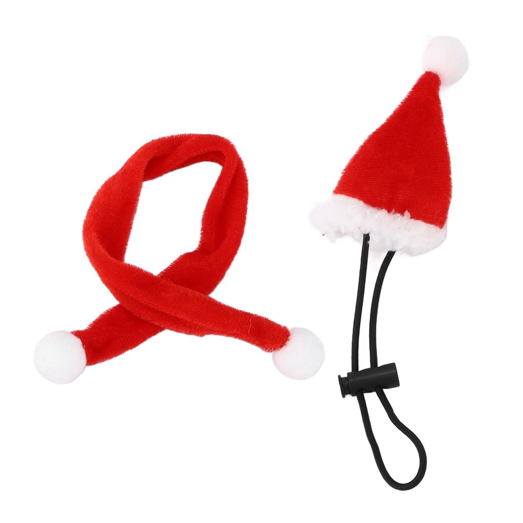 Lizard Hat Decor Crawling Pet Decorative Costume Bearded Dragon ?Supplies Adjustable Hat and Scarf