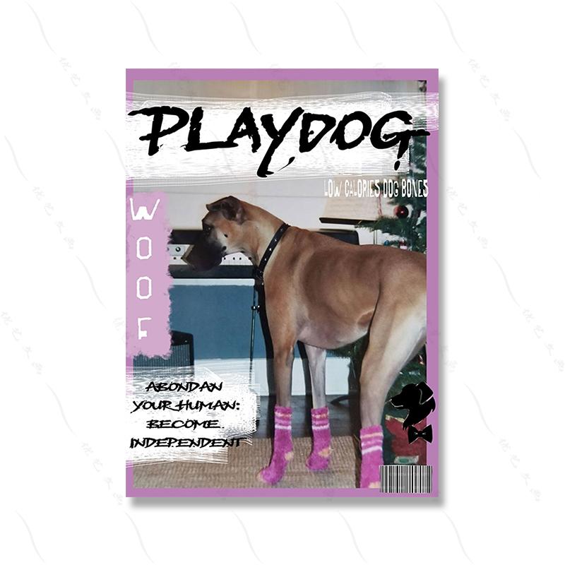 Винтажный модный настенный художественный постер с принтом Playdog, ретро холст, картина, стильный журнал, домашний декор для гостиной