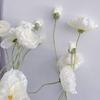 Large Fake Poppies Beautiful Artificial Flowers Silk Flower Poppies branch  New Year's Decor