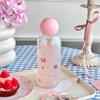 Kawaii Glass Water Bottle For Girls Woman Transparent Glass Cup For Hot and Cold Beverages Heat-resistant Glassware Drinkware