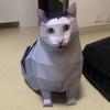 1 НАБОР бумажная модель кошки, кошка сомневается, 3D оригами кошки, вращающаяся кошка, подарки, милые украшения [пакет материалов для оригами] + ножницы + двусторонний скотч