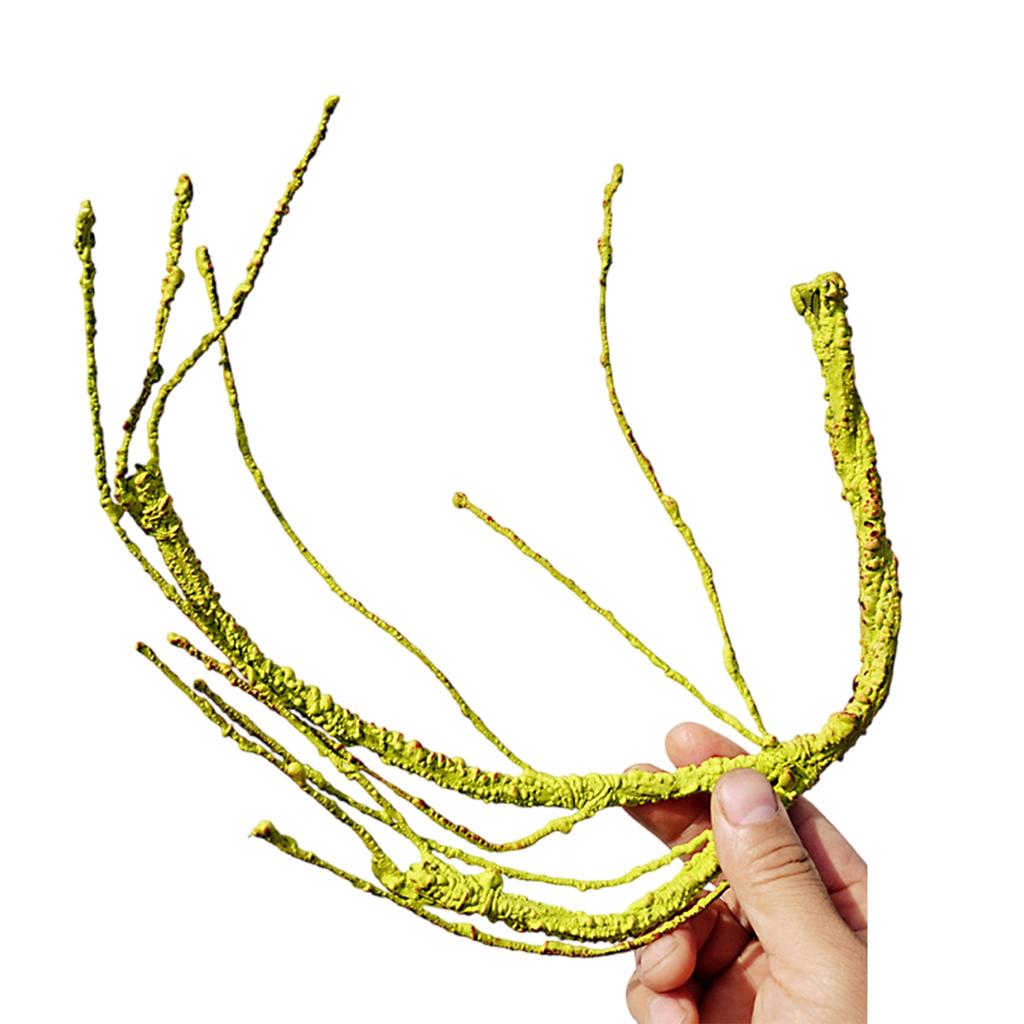 Рептилии Растение Скрыть Виноградная Ветка Листья Террариум Джунгли Среда обитания для Ящериц Гекконов Змея Декоративное Ложное Растение