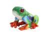 Taiyo Sangyo Boeki Wild Graphy Plush Tree Frog SA033 Toy, Red-eyed (L)