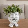 Face Flower Pot, Head Planter Pot, Funny Shape Face Planter Statue, Cute Resin Planter for Indoor Outdoor Plants Garden Decorations