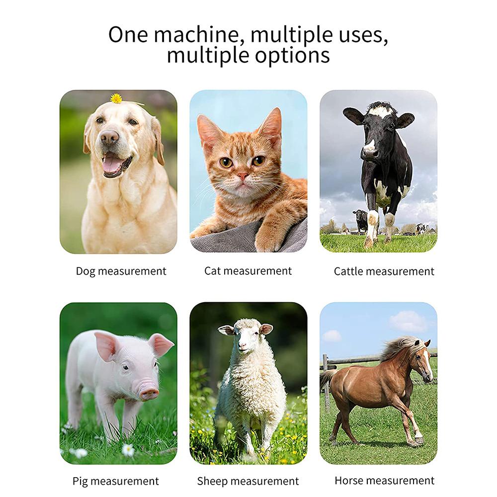 Собачий термометр бесконтактный термометр для питомцев, разработанный для питомцев, переключаемый ℉/℃