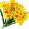 3/5 Pack Artificial Daffodil Swags Plastic Faux Narcissus Flower Bundle for Home Decor