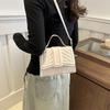2024 New Style Spring Shoulder Bag Chic Chain Crossbody Bag Simple Personality Handbag Women's Bag