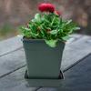Yousheng Plant Saucer Square High Density Plastic Drip Tray Indoor Outdoor Garden Pots Overwatering Prevention Saucer