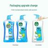Dettol Mint Ice Cool Health Shower Gel