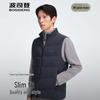 Men's Down Vest B250134101