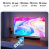 IN&VI 100-inch Fresnel Anti-Light Fixed Frame Projector Screen