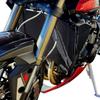 Модифицированная защита радиатора для Triumph Street Triple 765 R/RS (2023-2024 гг.)
