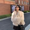 Winter New Imitation Fox Fur Coat Women's Fur Coat Thickened Lapel Small Man