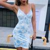 Women's V-neck Mini Dress Printed Dress