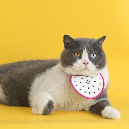 Мультяшный фрукт, питомец, бандана, арбуз, апельсин, киви, шейный платок, шарф, регулируемый нагрудник для питомца, аксессуары для собак и кошек