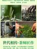 Чай Jieying гора Хуаншань Маофэн Аньхой Зеленый чай Просто упакованный порционный чай 200 г