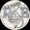 12inch Record IMAGINATION - In The Heat Of The Night / In The H RBL211 R & B 1982 UK Dance & Electronica Used
