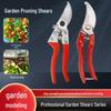 Steel Pruning Shears for Trees, Fruits, and Flowers – Ideal for Household Horticulture and Grape Pruning