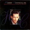 7-дюймовая пластинка HARRY CONNICK JR.  Рецепт Любви Это Должен Быть Ты 6568907 Columbia 1991 UK Jazz Б/у