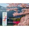 Incense Set with Condolence Message Included: Premium Paulownia Wood Box, Low-Smoke Incense, Two Types of Hanakurabe (Red Plum and Cherry Blossom Scen