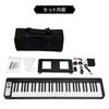 Kikutani (Kikutani) [Reliable Japanese Company] Kikutani [Foldable] Digital Piano, 61 Keys, Rechargeable, KDP-61P WHT
