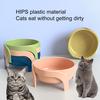 Pet Bowl Large Capacity Container with Dog Food Elevated Design Non-Slip Base Cat Water Drinking Bowl for Small Pets