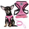 Lightweight, Pressure-Free, Breathable Harness for Dogs and Cats with Leash S