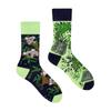 Koala - Colorful Socks 40-43