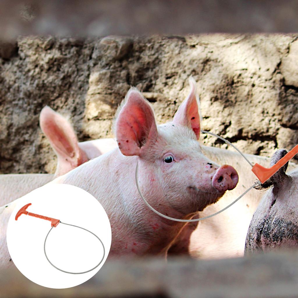 Набор для свиней Оборудование для фермы Ловушка Инструмент для ловли свиней Аксессуары Соковыжималка Стальная проволока Стабилизатор Веревка