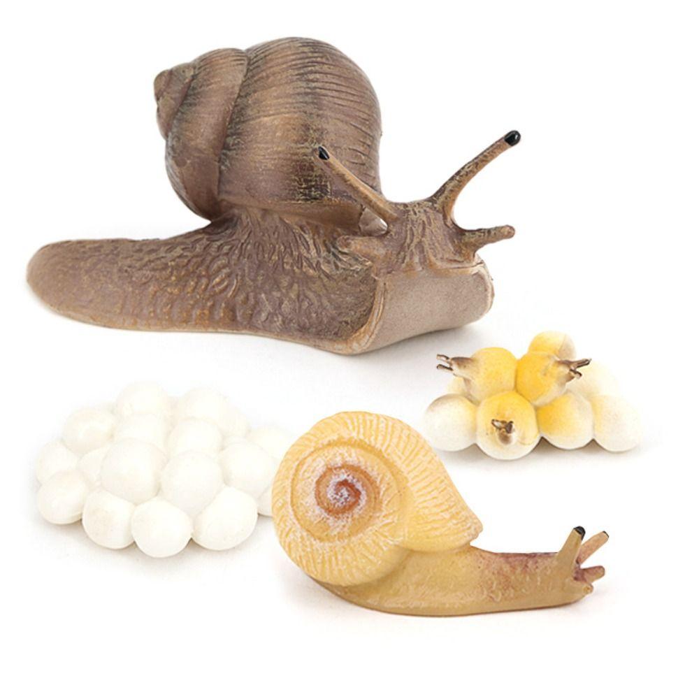 Science Children's Cognitive Education Snail Statue Snail Model Simulation Insect Garden Decoration