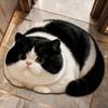 45×60CM Bathroom Carpet Realistic Bedroom Door Rug Cute 3D Cat Floor Mat  Home Decor