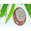 28X42X06MM Натуральная Норина Яшма Овальный Кабошон Свободный Драгоценный Камень 48 Карат. СК-3584